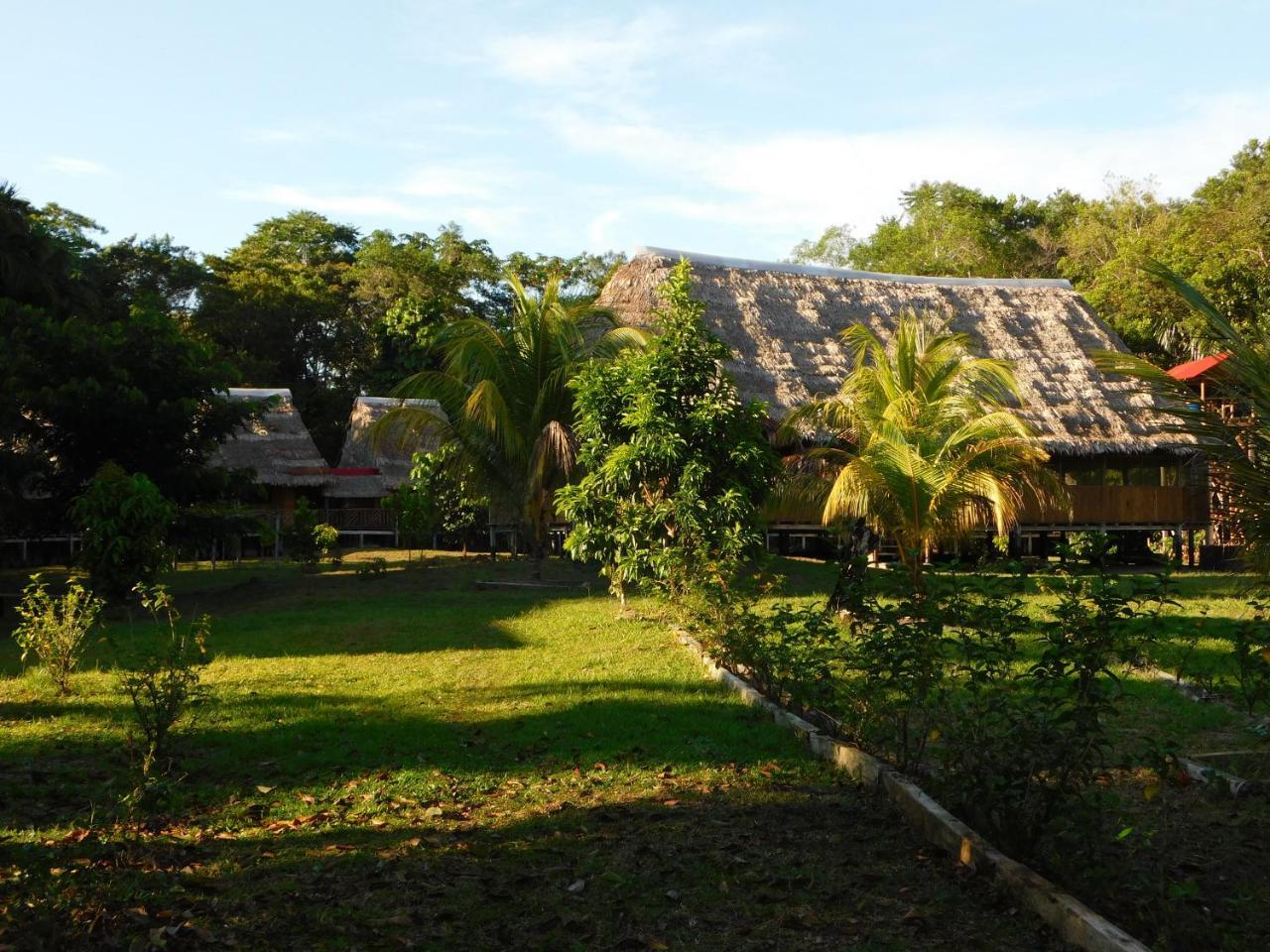 Intillama Jungle Lodge Eirl Paucarpata (Loreto) Exterior foto
